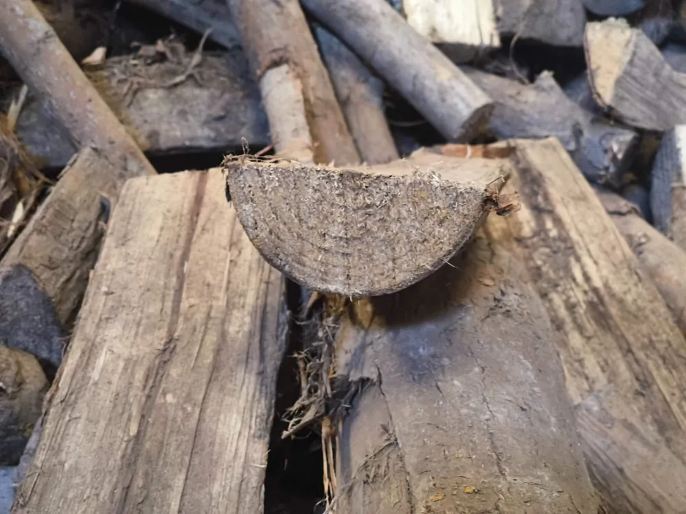 Leña de chopo cortada, ideal para encendido rápido
