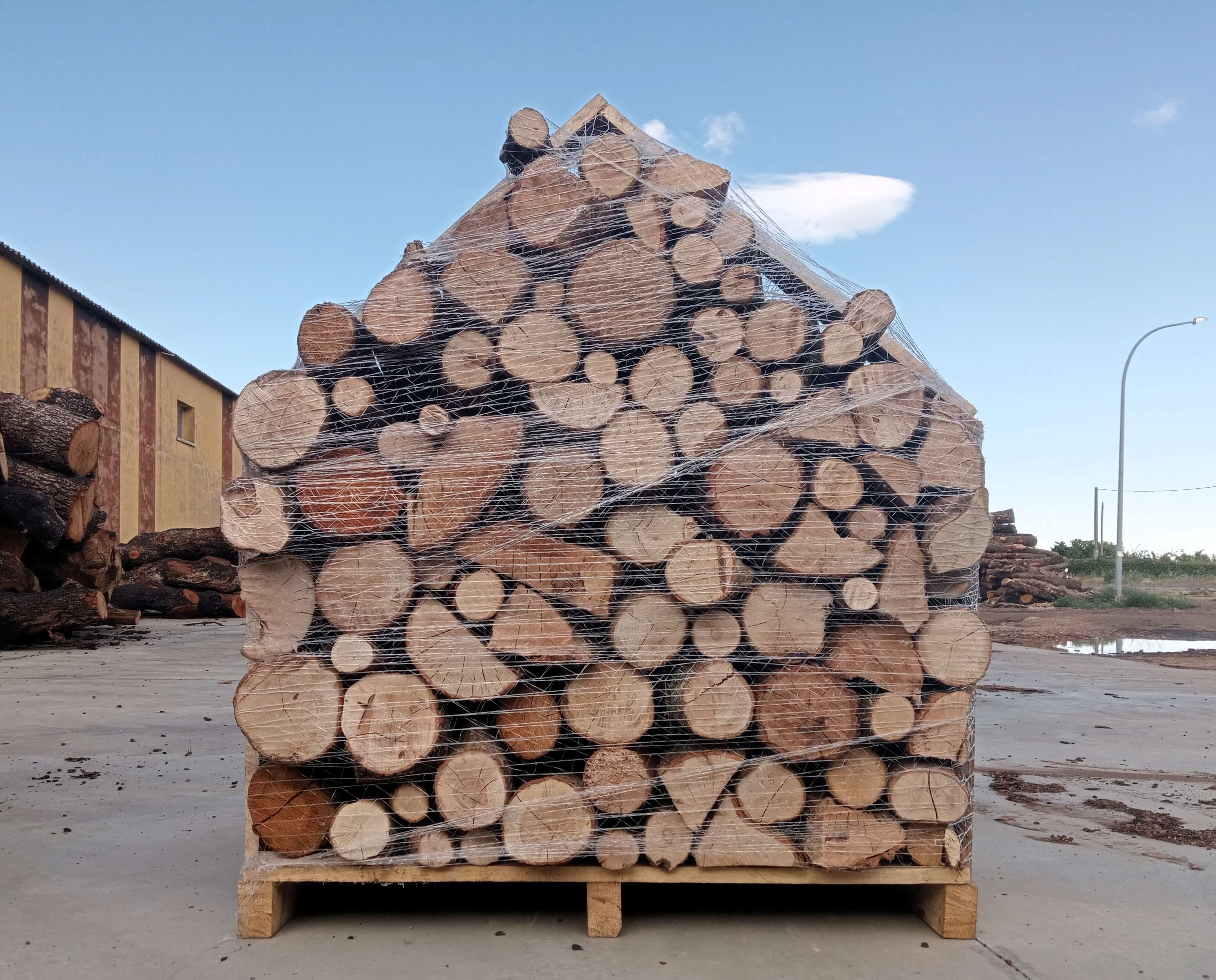 Equipo de Leñaleón trabajando en el almacén de leña