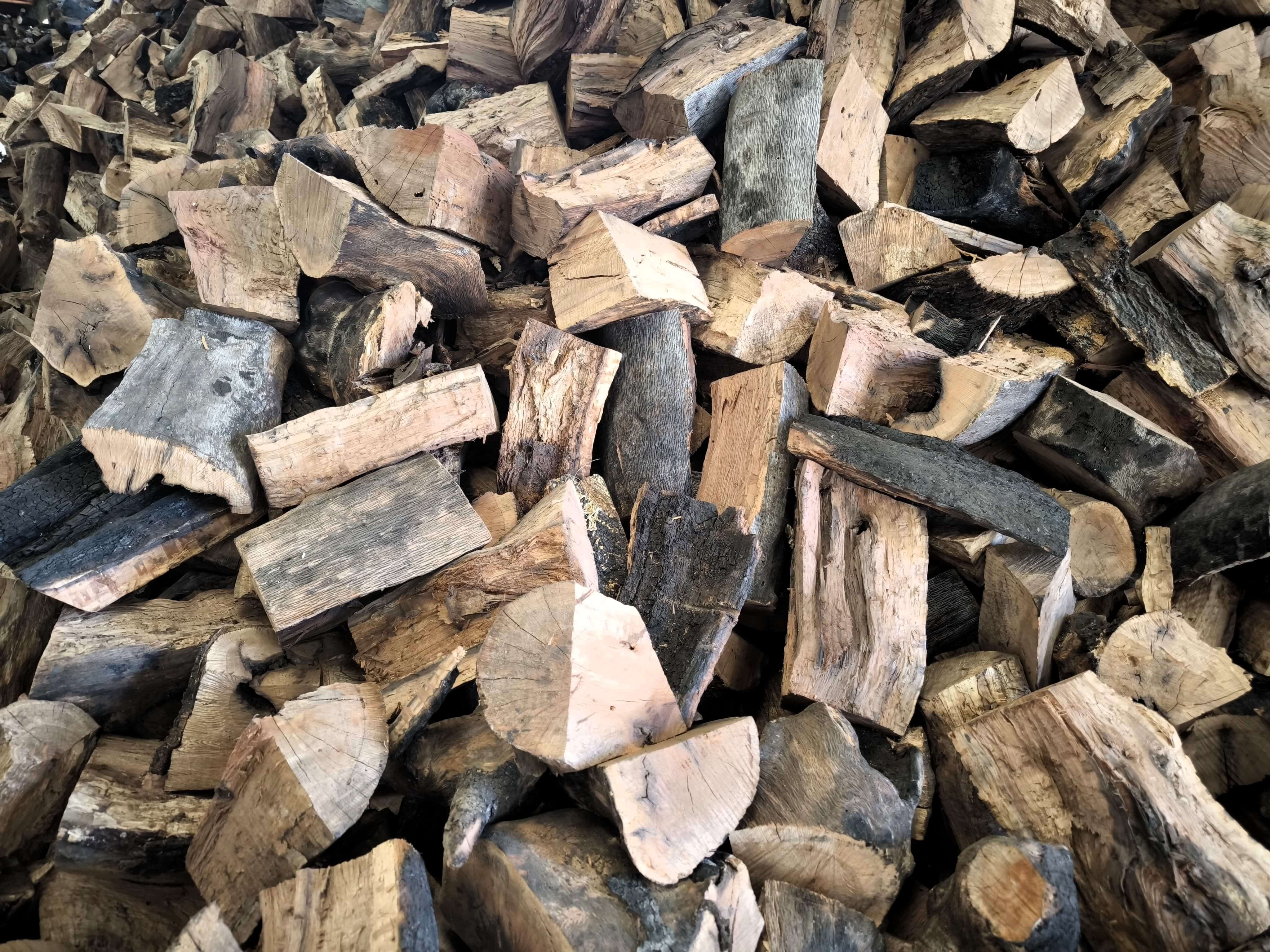 Montón de leña de encina de alta calidad en León